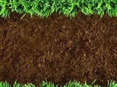 土壤惡化有哪些方面？